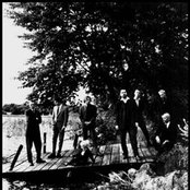 Weeping Willows - List pictures