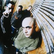 Stanid - List pictures