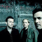 Camouflage - List pictures