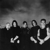 Soil - List pictures