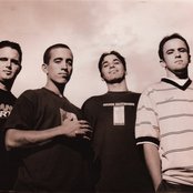 Dogwood - List pictures