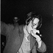 Iceage - List pictures