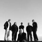 Green Carnation - List pictures