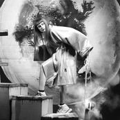 Owlle - List pictures