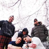 Zebrahead - List pictures