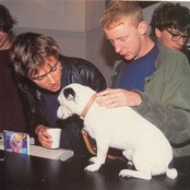 Blur - List pictures