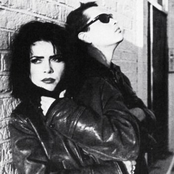 Curve - List pictures