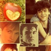 Crvena Jabuka - List pictures