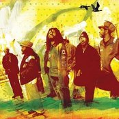 The Gladiators - List pictures