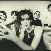 Ednaswap - List pictures