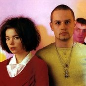Sugarcubes - List pictures