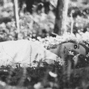 The Glass Child - List pictures