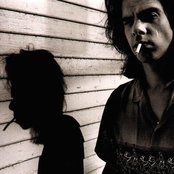 Nick Cave - List pictures