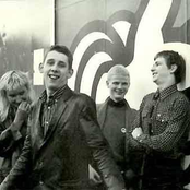 The Nipple Erectors - List pictures