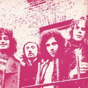 Rare Bird - List pictures