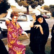 Pinkly Smooth - List pictures