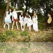 F(x) - List pictures