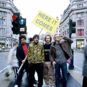 Simian - List pictures