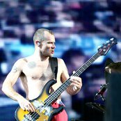 Flea - List pictures