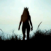 Iamamiwhoami - List pictures