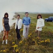 Throbbing Gristle - List pictures