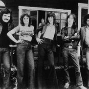 Skylark - List pictures