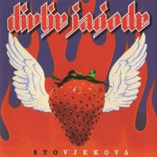 Divlje Jagode - List pictures