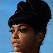 Tammi Terrell - List pictures