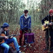 Seed To Tree - List pictures