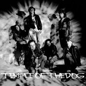 Temple Of The Dog - List pictures