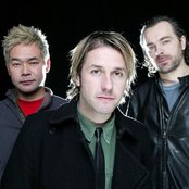 Feeder - List pictures