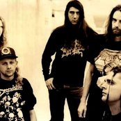 Brutality - List pictures