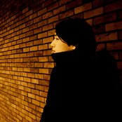 Arc Of Doves - List pictures