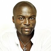 Seal - List pictures