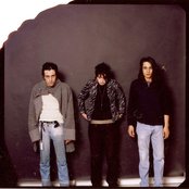 Verdena - List pictures