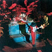 Stevie Ray Vaughan & Double Trouble - List pictures