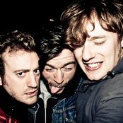 Fawn Spots - List pictures