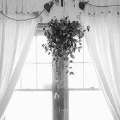 Faith Healer - List pictures