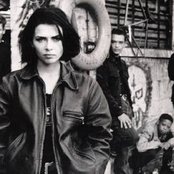 Curve - List pictures