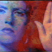 Single Gun Theory - List pictures