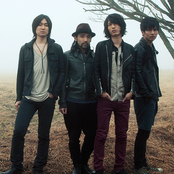 Nico Touches The Walls - List pictures