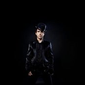 Morning Wood - List pictures