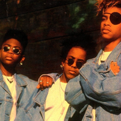 Immature - List pictures