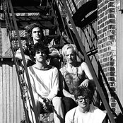 Descendents - List pictures