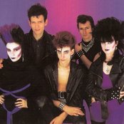 Alaska Y Los Pegamoides - List pictures