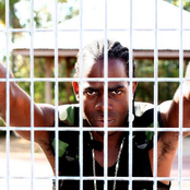 Lieutenant - List pictures