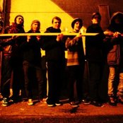 Kuningasidea - List pictures