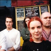 Scheer - List pictures