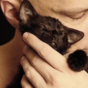 Tiamat - List pictures