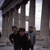 Shellac - List pictures